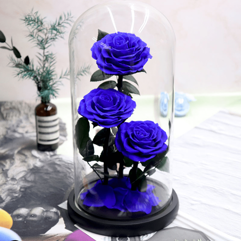 Preserved Natural Rose In Glass -  Blue-3-Roses