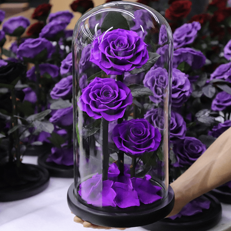 Preserved Natural Rose In Glass -  Purple-3-Roses