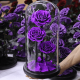 Preserved Natural Rose In Glass -  Purple-3-Roses