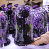 Preserved Natural Rose In Glass -  Black-3-Roses