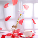 Showcasing the galaxy rose  