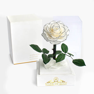 Madeofrose Exclusive Preserved Rose + Gift Box - Madeofrose with box
