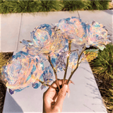 Four galaxy roses in a hand