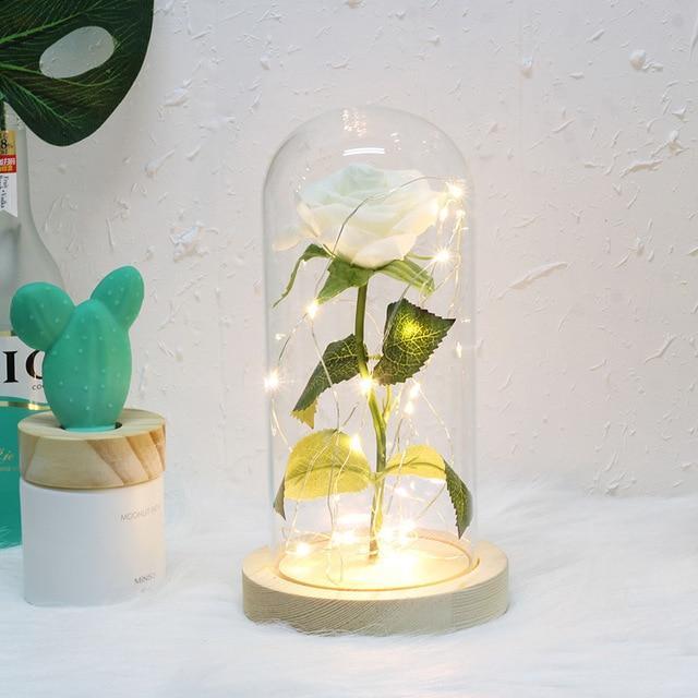 LED Rose In Glass Dome -  White