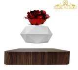 Levitating Rose Holder Six