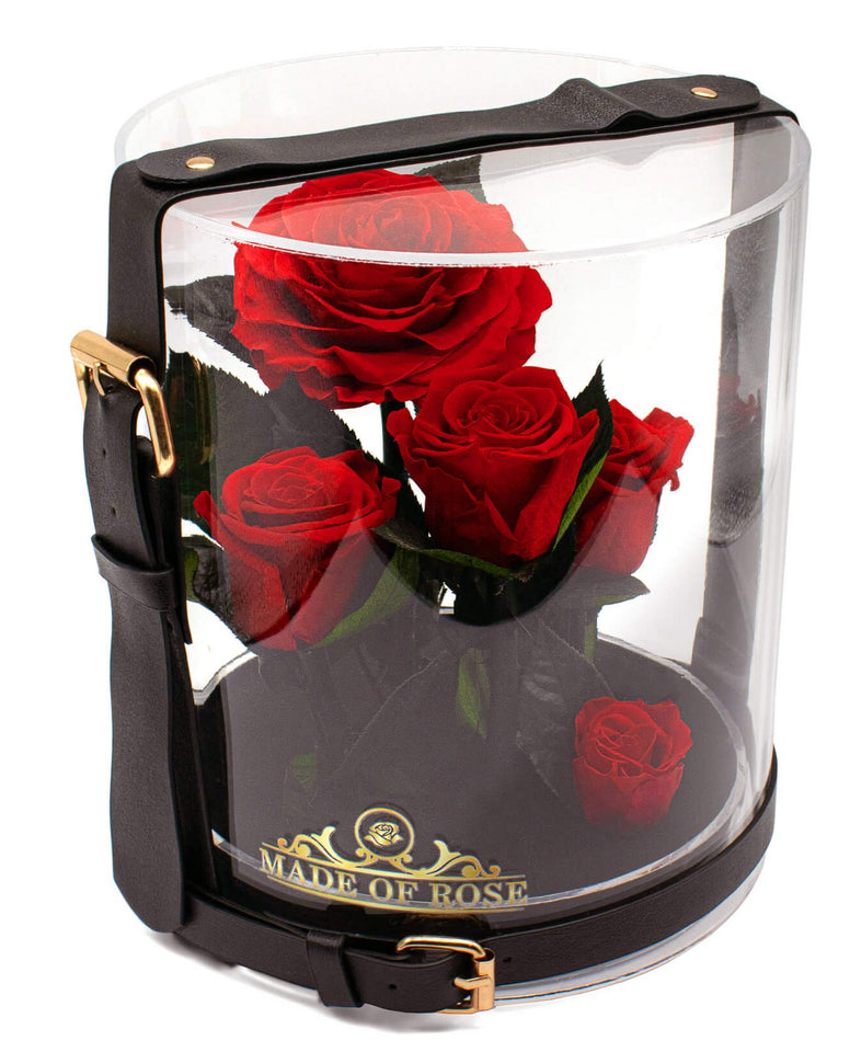 Madeofrose® Preserved Roses In Glass Dome Red