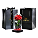 Preserved Natural Rose In Glass Dome + Gift Box -  Red