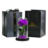 Preserved Natural Rose In Glass Dome + Gift Box -  Purple