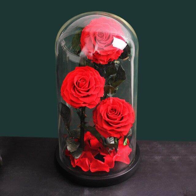 Three Preserved Natural Rose In Glass Dome
