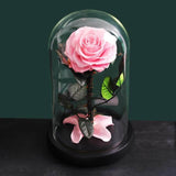 Preserved Natural Rose In Glass -  Pink