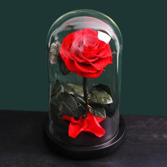 Preserved Natural Rose In Glass -  Red